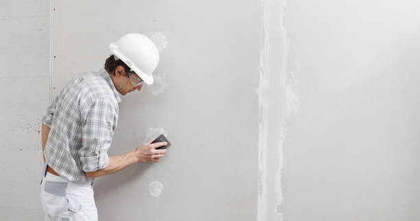 Best Drywall Sanding and Smoothing  in East Grand Rapids, MI